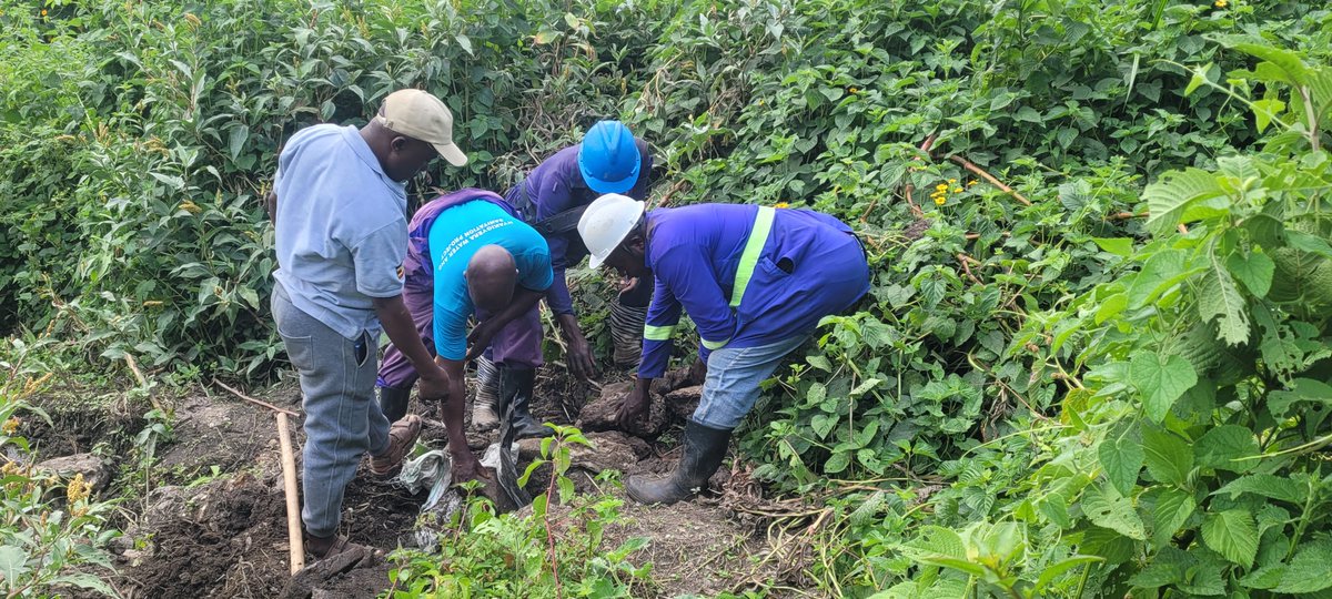 actsuganda's tweet photo. Yesterday, the ACTS Uganda construction team visited two water sources for the Kaswa Gravity Flow Scheme (GFS) to assess it ahead of its protection to ensuring reliable, clean, and safe water for the communities that will benefit from the project in Bwesumbu Sub-county Kasese District 

 ACTS Uganda remains committed to improving access to safe water and promoting better health and livelihoods through sustainable WASH interventions.
Acts for Water 
#ACTSUganda #SafeWater #WASH #GravityFlowScheme #Kaswa #WaterForAll