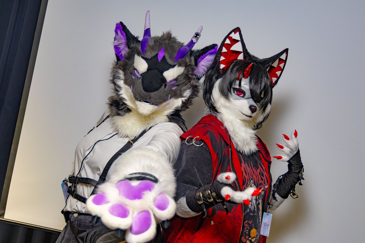 Azul_fur_'s tweet photo. 🐺: 보라와 빨강은 꽤 가깝지. 안 그래?

❤️: @dx1mon 
📷: @rowlwolf
#roxo_xoxo🐺#FursuitFriday https://t.co/uXXV1gW8Ab