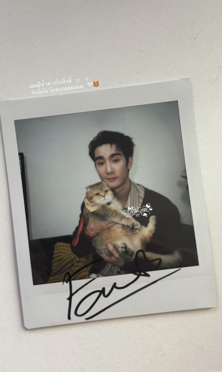 GGntth's tweet photo. ความสุขมาเสิร์ฟแล้ววว ฮรืออออ ฟอสสึหล่อมากกกกกมาคู่กับเป่าเฟย มันนุ้บนิ้บหัวใจทิสุด! 🤏🏻🤍🦊🐱✨

🐱 : ปะป๊าป่อยนุดั้ยแล้ว 🥺 https://t.co/eX5MtWZLjL