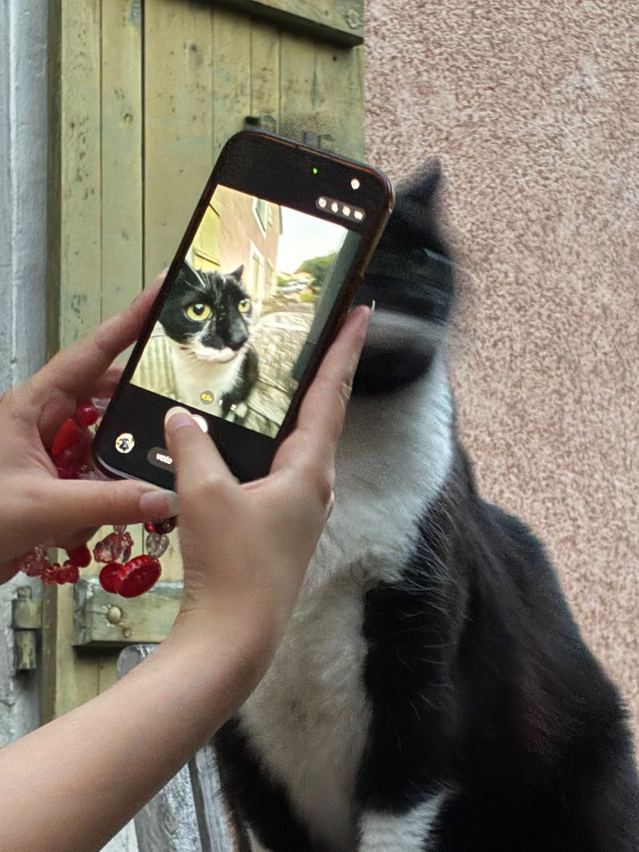 marcantoinecat's tweet photo. ime so photogenic binch cant deal with mine talent https://t.co/9eWBQEGpnb