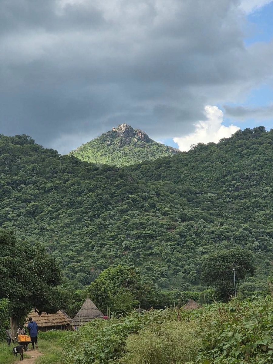 choljoey's tweet photo. Good morning 🇸🇸. As we marked  15 years of independence yesterday, may we choose dialogue over division, development over destruction, and hope over despair.

Beyond the headlines, South Sudan is blessed with breathtaking landscapes, mighty rivers, fertile land, abundant wildlife, rich cultures, resilient people, vibrant music, and one of the youngest, most energetic populations in Africa.

From the Sudd wetlands to Nimule National Park, from the cattle camps of Jonglei to the mountains of Eastern Equatoria, our diversity is our greatest strength.

We have everything it takes to feed ourselves, attract tourists, build thriving businesses, and become one of Africa's success stories.

The best chapter of our story is still waiting to be written. 🇸🇸✨

#SouthSudanAt15 #IndependenceDay #ProudlySouthSudanese