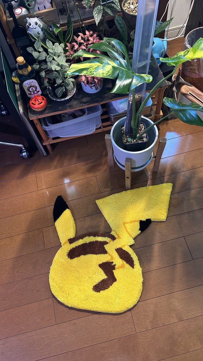 MIYOSHI RUGのピカチュウ ラグ届いた- ̗̀📦 ̖́- 可愛いすぎ✨⚡️