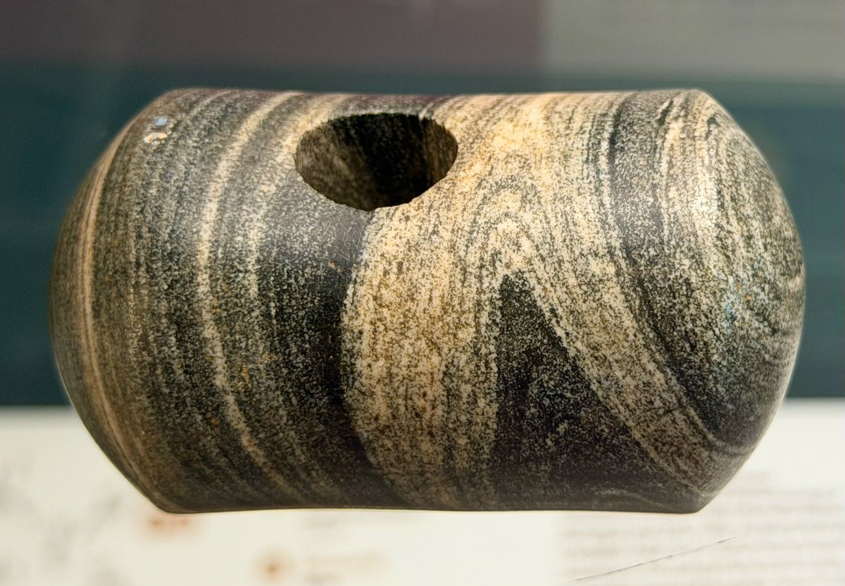 KPW1453's tweet photo. Late Neolithic macehead which was found during 1839 at Dounby Farm in Sandwick on Orkney. Discovered in a burial cist, the macehead is now part of the collections at Orkney Museum in Kirkwall. ๐ธ My own. #FindsFriday #Prehistory #Orkney https://t.co/dxhFWEoGb2