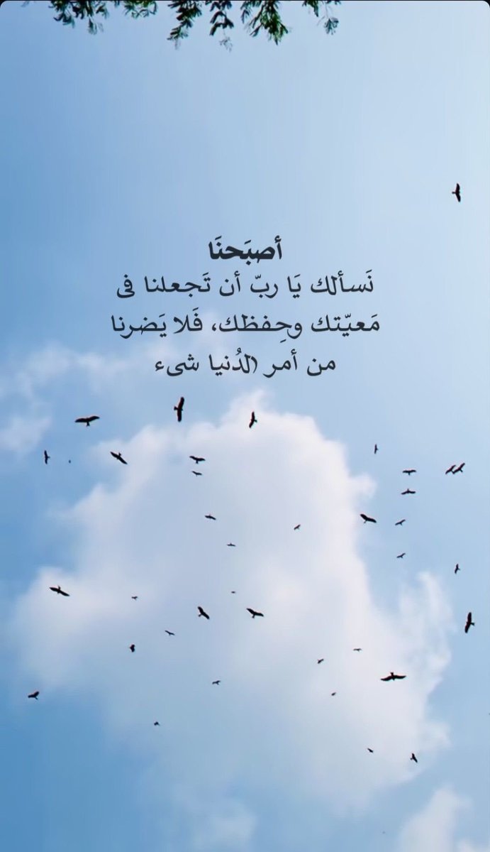 amari1939's tweet photo. #صباح_الخيـر https://t.co/PceomV1pXG