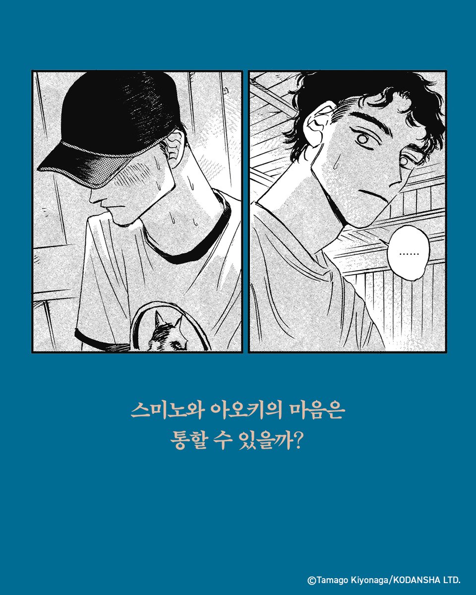 빗금 tweet media