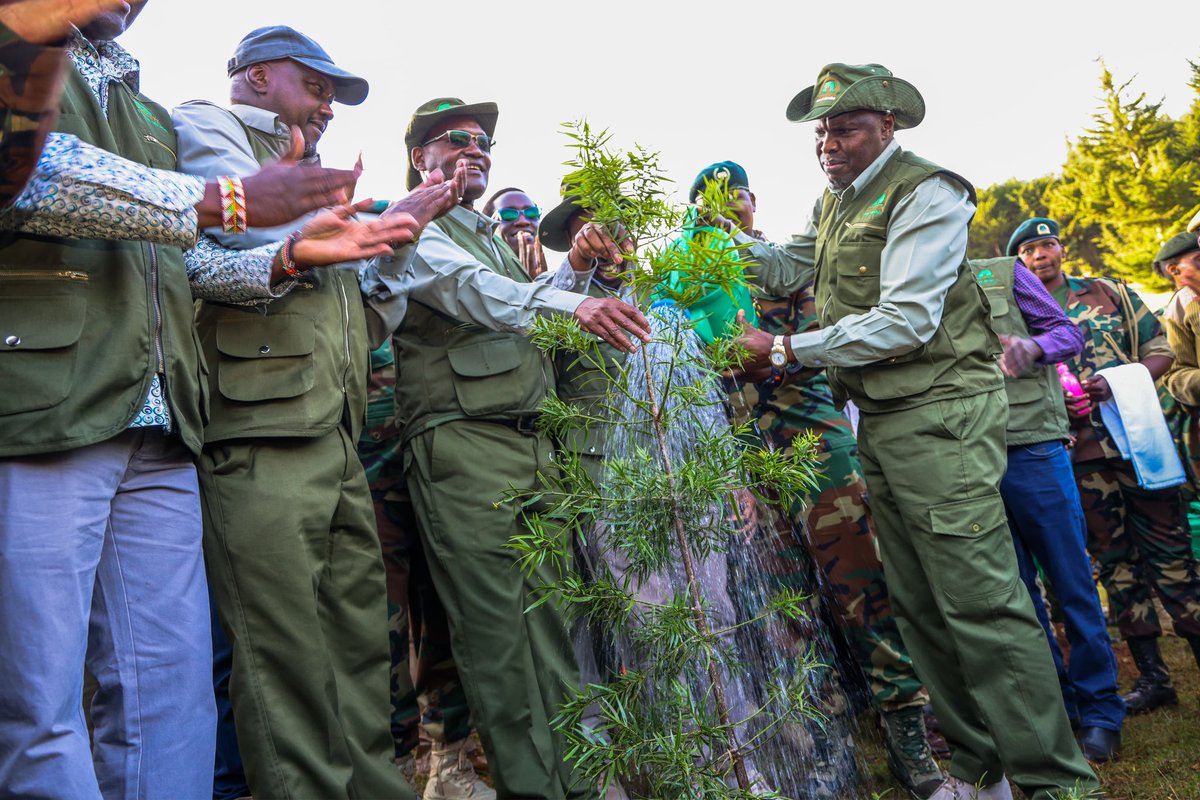 DrChrisKiptoo's tweet photo. The Kaptagat Forest Ecosystem comprises the Kipkabus, Penon, Kaptagat, Sabor, Kessup and Elgeyo Forest Stations. I am pleased that the ecosystem has now been fully restored, with the final section, a 22 hectare grassland at Chebior in Sabor Forest Station, planted today.

As we mark this milestone, the next phase of the Kaptagat Integrated Conservation Programme (KICP) will shift from forest restoration to the rehabilitation of the Keiyo Escarpment and hanging valleys, as well as the promotion of tree growing on community and private farms.