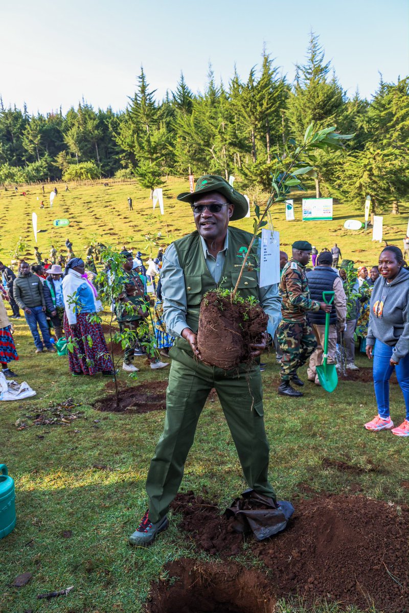 DrChrisKiptoo's tweet photo. The Kaptagat Forest Ecosystem comprises the Kipkabus, Penon, Kaptagat, Sabor, Kessup and Elgeyo Forest Stations. I am pleased that the ecosystem has now been fully restored, with the final section, a 22 hectare grassland at Chebior in Sabor Forest Station, planted today.

As we mark this milestone, the next phase of the Kaptagat Integrated Conservation Programme (KICP) will shift from forest restoration to the rehabilitation of the Keiyo Escarpment and hanging valleys, as well as the promotion of tree growing on community and private farms.