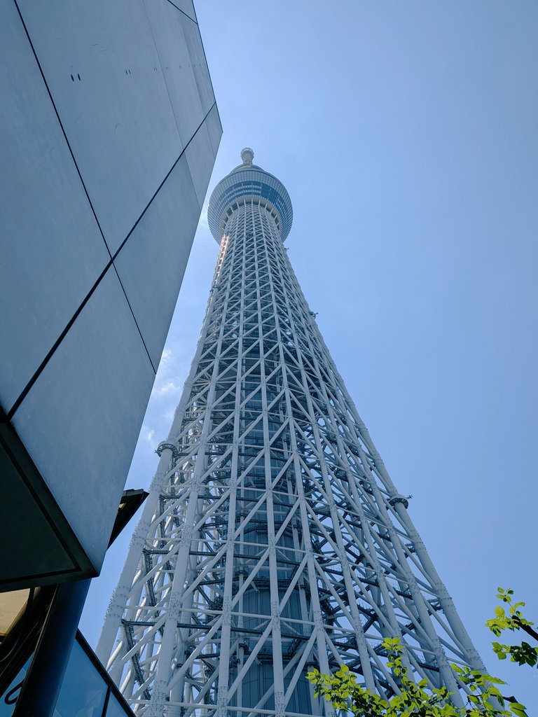 pecopom3021's tweet photo. 謎連休2/4日目
お母さんとスカイツリー
令和版「東京だよおっ母さん」
だな https://t.co/O9fifNaqys