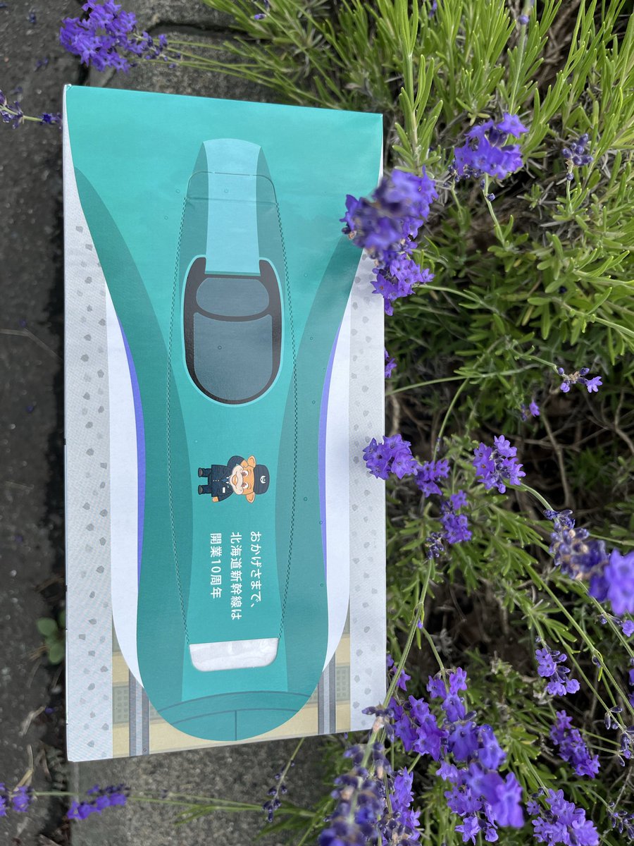 北海道新幹線開業10周年記念 セイコーマート限定デザインの ボックス