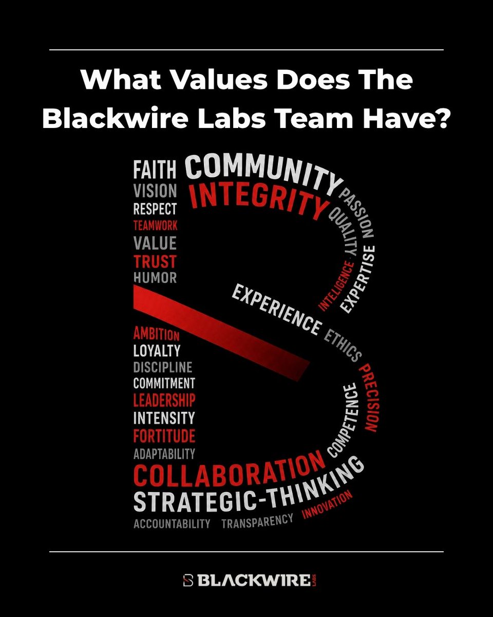 blackwirelabs's tweet photo. At Blackwire Labs, our values come first. They guide how we work, how we support our customers, and how we continue to innovate in cybersecurity. Great technology starts with great people. https://t.co/ejiT58vmrQ