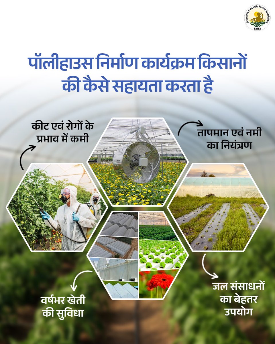 FAIFA_Official's tweet photo. पॉलीहाउस फसलों के लिए अनुकूल वातावरण तैयार करता है, जिससे किसानों को हर मौसम में बेहतर उत्पादन प्राप्त करने में सहायता मिलती है।

यह संसाधनों के कुशल उपयोग और फसल सुरक्षा दोनों को सुनिश्चित करता है।

#FAIFA #FarmersFirst #PolyhouseFarming https://t.co/5kJhBjYnhx