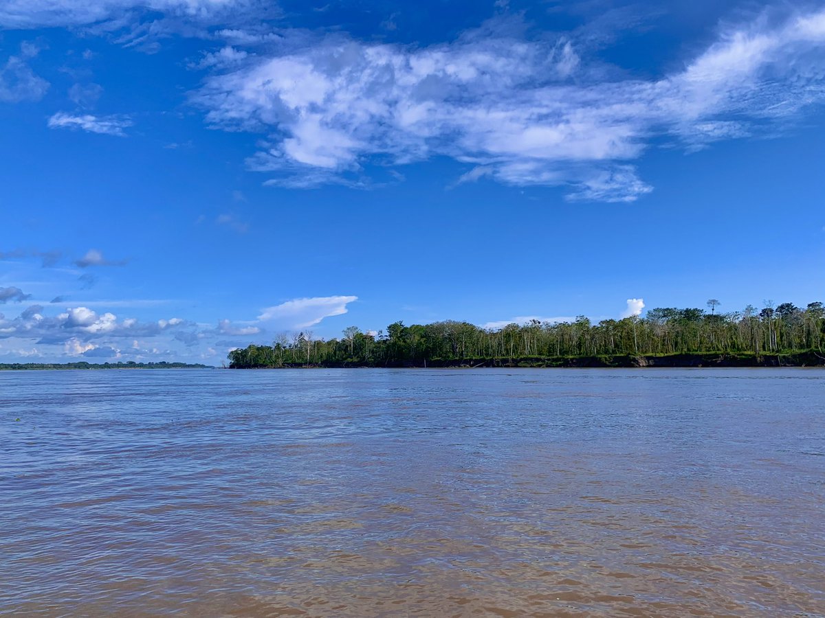 KLERBOX's tweet photo. Sunny morning on the Amazon 🌞 https://t.co/X3BqBY3N8n