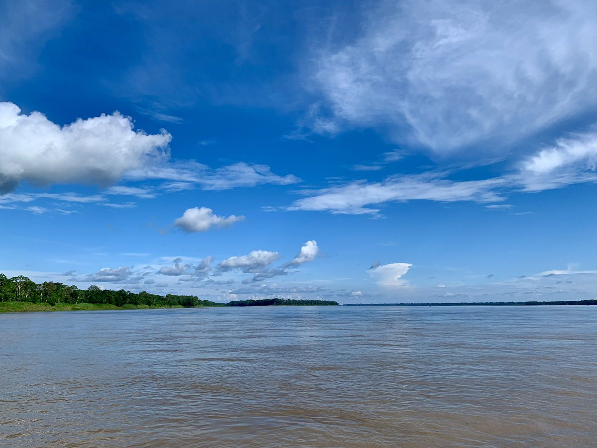 KLERBOX's tweet photo. Sunny morning on the Amazon 🌞 https://t.co/X3BqBY3N8n