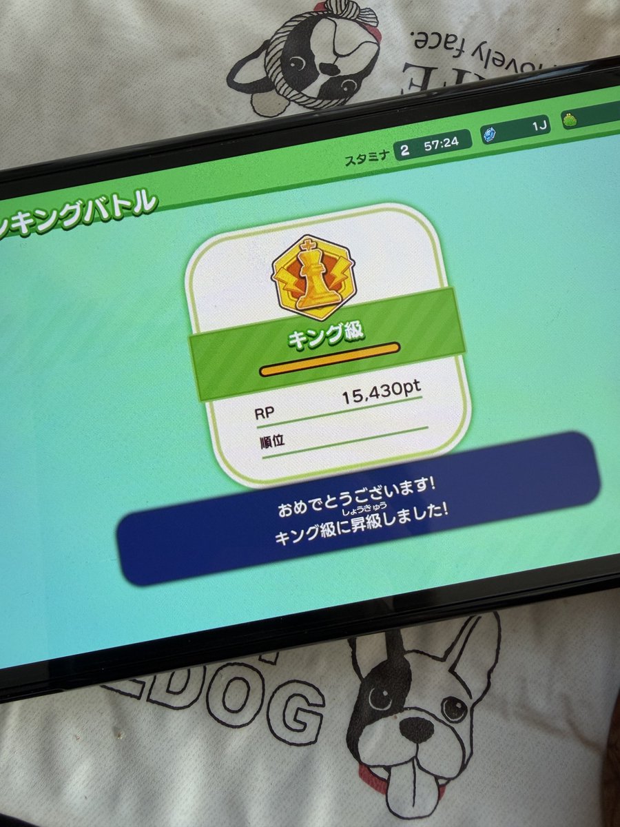 Eru_1104's tweet photo. なんかバグってヌルゲーになってるぽかったので忘れないうちに https://t.co/ZwsjIj2hJT