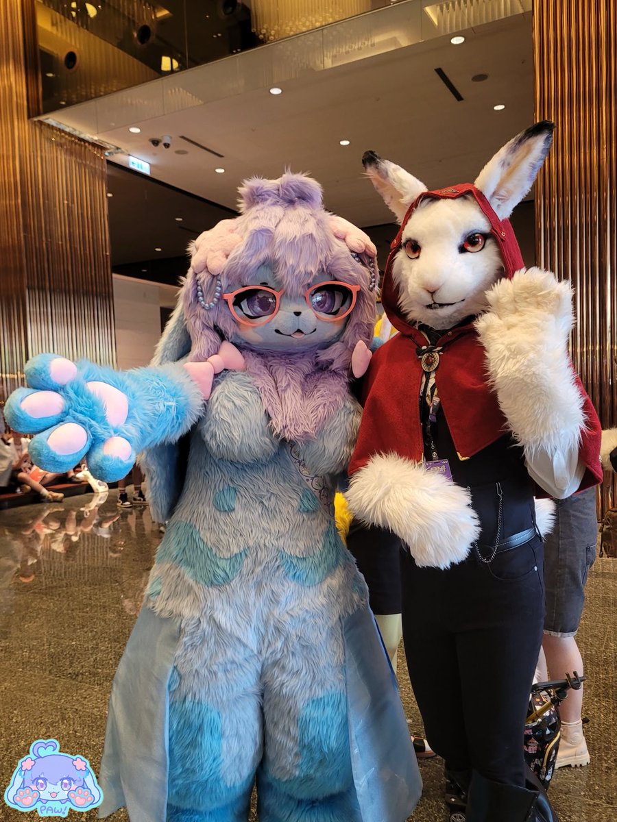 Fula0323's tweet photo. 你看姐姐找到什麼了呀

是可愛的白色🤍兔芷😳❤️❤️

🐰：@HeartRabbit0421 

📷：@hoshino_sora359 

#FursuitFriday https://t.co/y5TvCCVCFW