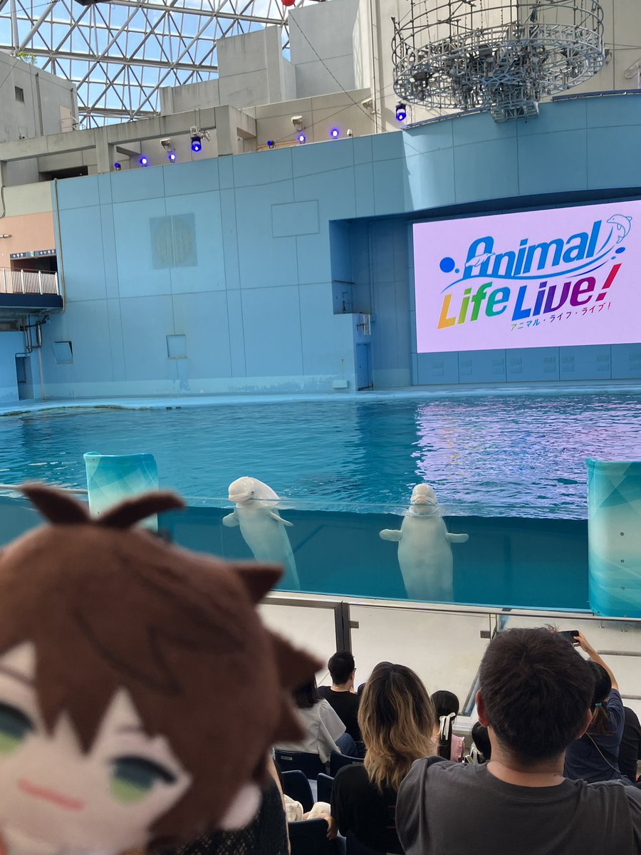 hakusnk's tweet photo. スハぱぺとシーパラ！！！水属性！！ https://t.co/WkVjR6Xxjd