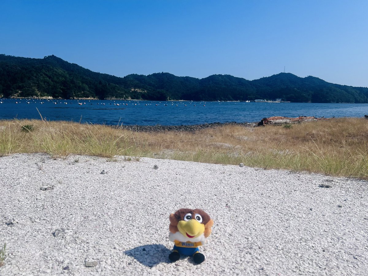 yo__001's tweet photo. 平日。海と山に癒されるわたしたち🌊⛰️ https://t.co/kuQpIrNlXP