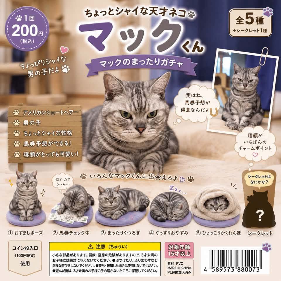 pakaran1966's tweet photo. マックのガチャガチャ😻
.
#チャッピー作
#二代目マック #保護ネコ #アメリカンショートヘア #アメショー #americanshorthair https://t.co/2Pmv57WWAU