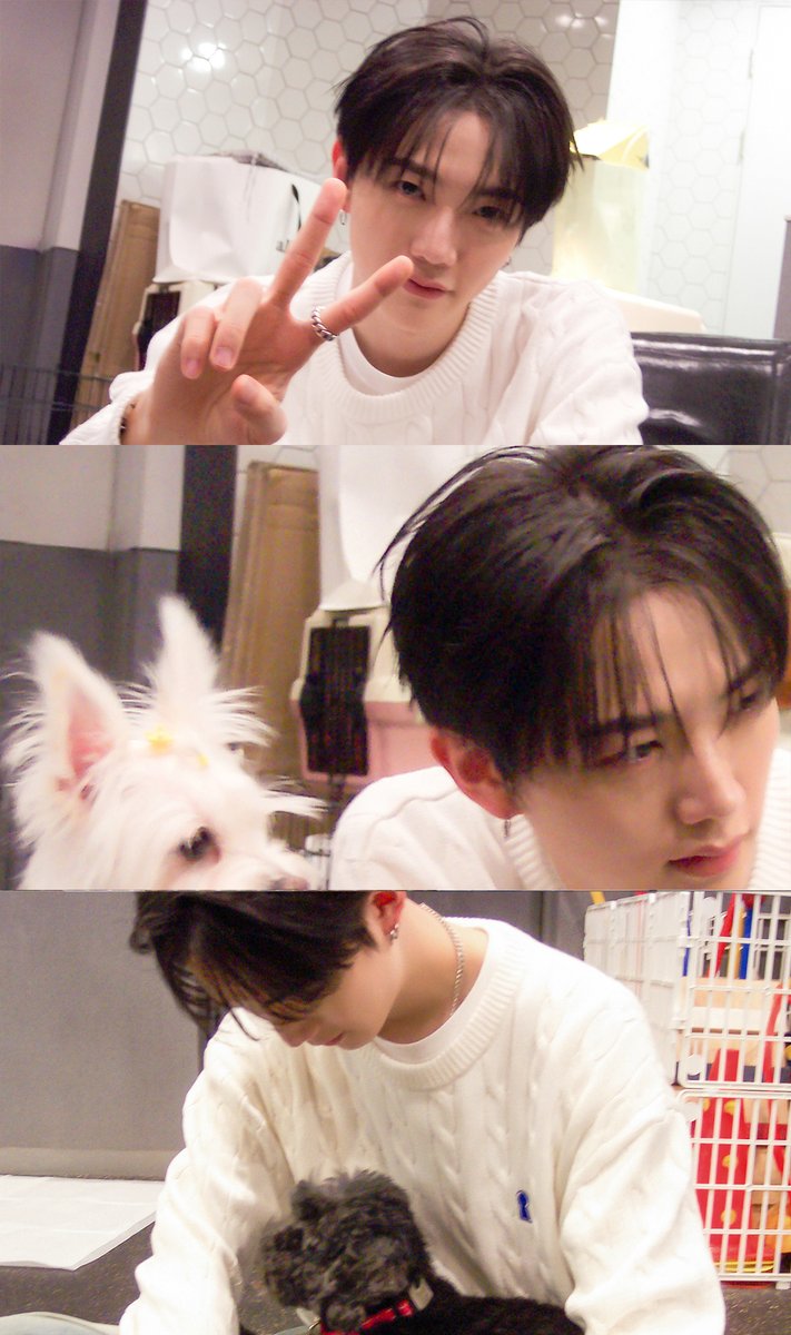 ALL_H_OURS's tweet photo. 2026.07.12
HAPPY BIRTHDAY HYUNBIN🐱🎂

#ALL_H_OURS #올아워즈
#HYUNBIN #현빈 https://t.co/U0wYS1L00e