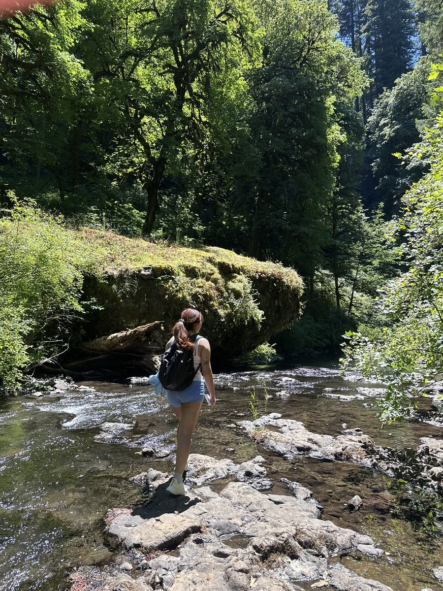 kittyeviee's tweet photo. Oregon I love you🌲💚🌳 https://t.co/h4B1eOUOkG