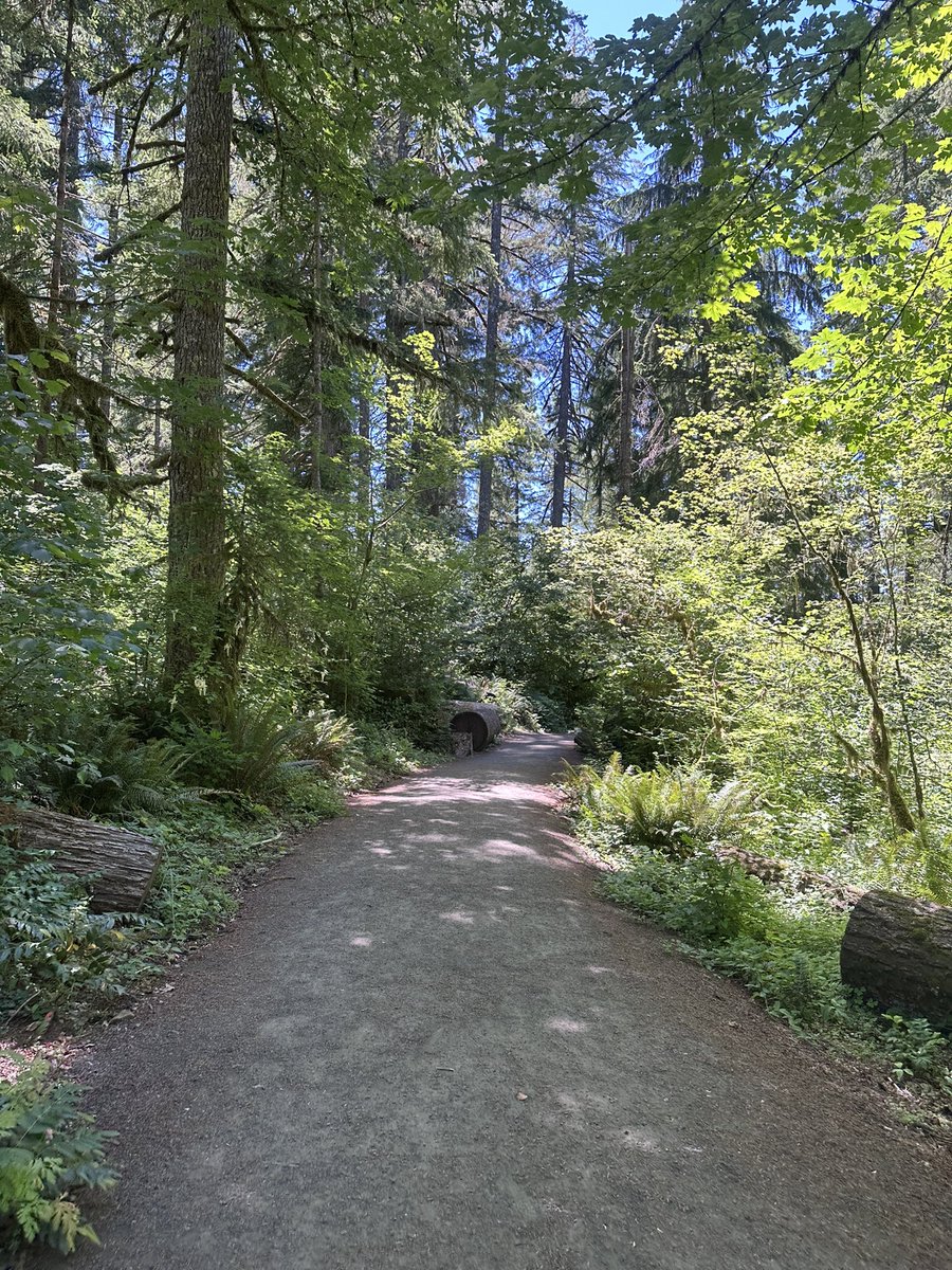kittyeviee's tweet photo. Oregon I love you🌲💚🌳 https://t.co/h4B1eOUOkG