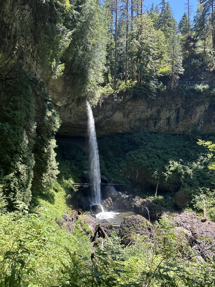 kittyeviee's tweet photo. Oregon I love you🌲💚🌳 https://t.co/h4B1eOUOkG