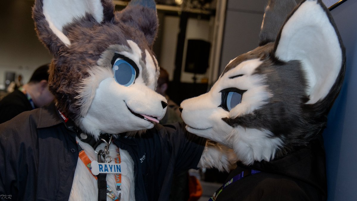 FrostFang0326's tweet photo. うわっ、近っ！？……っ、さすがに近すぎるって。
……はぁ、本当にお前は距離感がおかしいんだから。

 ft.   @hu0214zxc 
📸 @Takoro_doge 
 #FursuitFriday https://t.co/d3hqojKgNz