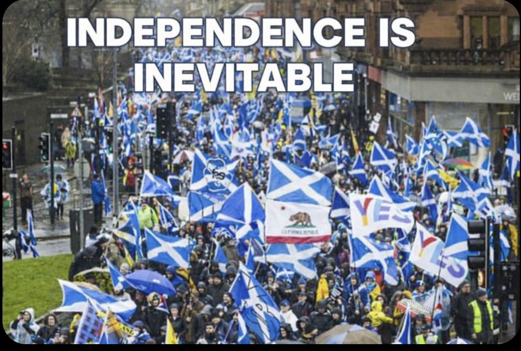 wullieforindy(extremist)🏴🤝🇪🇺🤝🇺🇦 tweet media