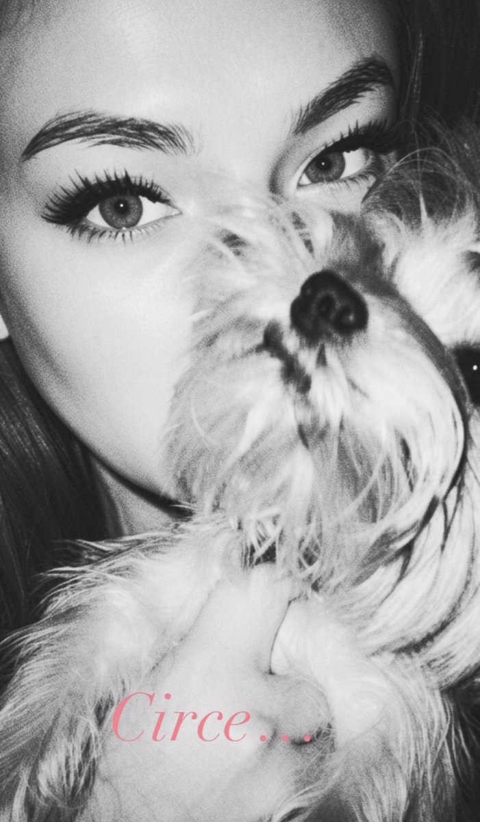 AshaAlNeri's tweet photo. Circe…✨💜🐶 https://t.co/HONclOB54m