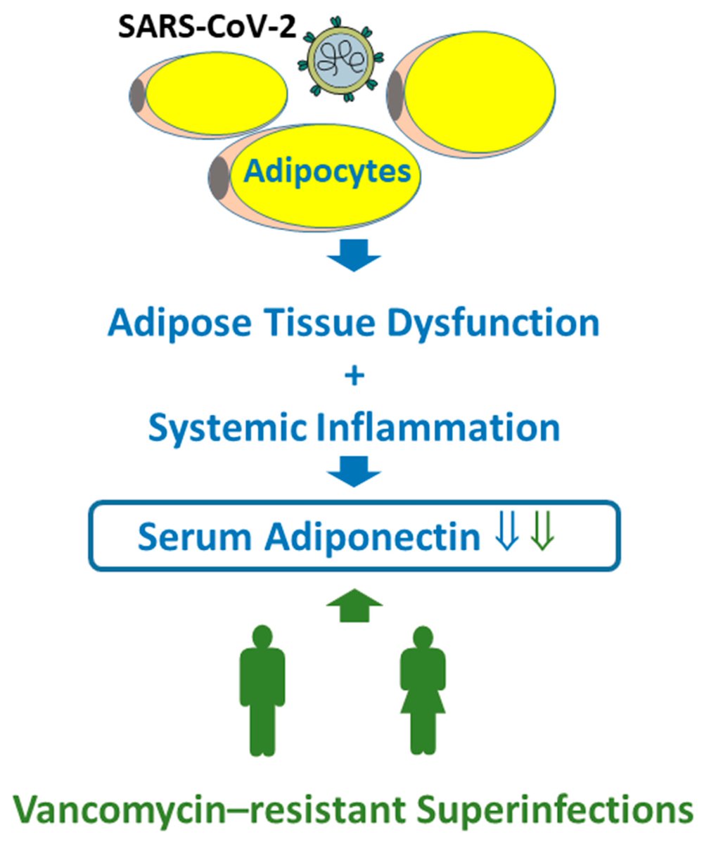 Biomed_MDPI's tweet photo. 🖼 Graphical Abstract | Explore the key findings through graphics 
📌 Serum Adiponectin Predicts COVID-19 Severity
🔗 https://t.co/f7BTC2Eys1
#VisualResearch https://t.co/6ElOP55Nog