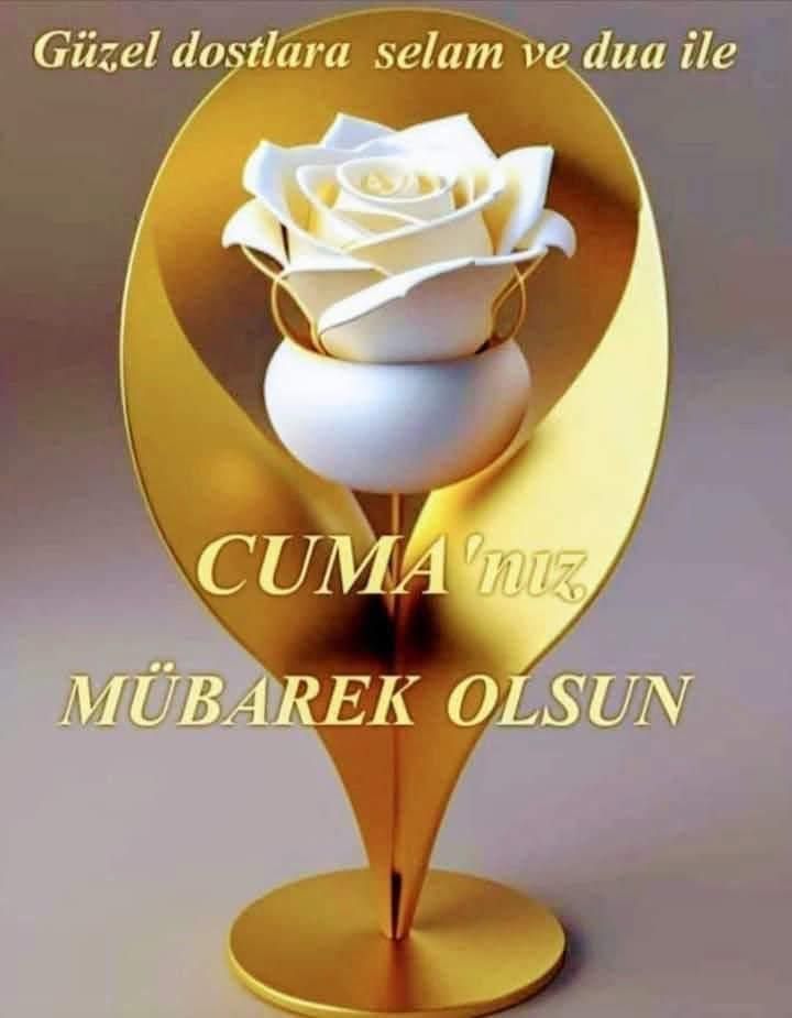 Turan0636's tweet photo. @SahinYuzgullu https://t.co/fKr7p3vr22