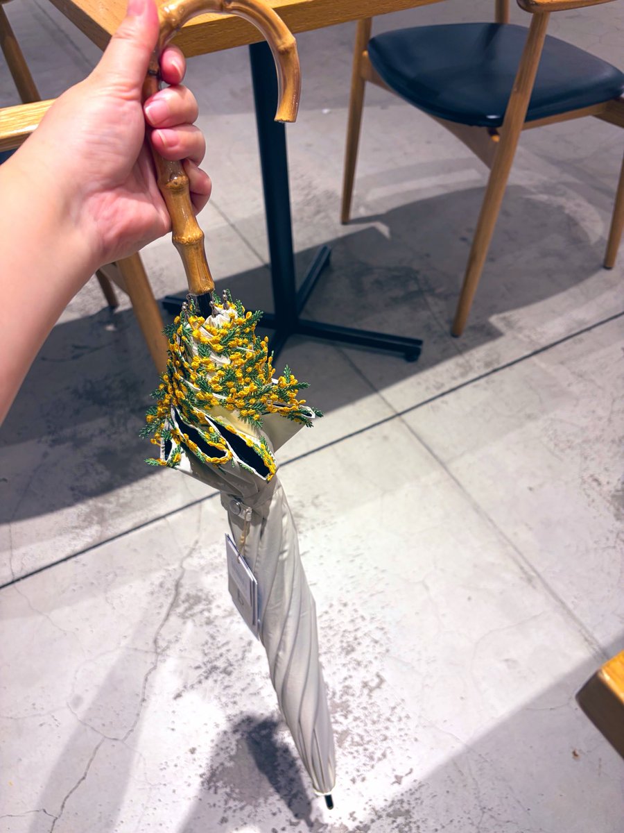 Post by Ken's C.H.Lion on X: すご