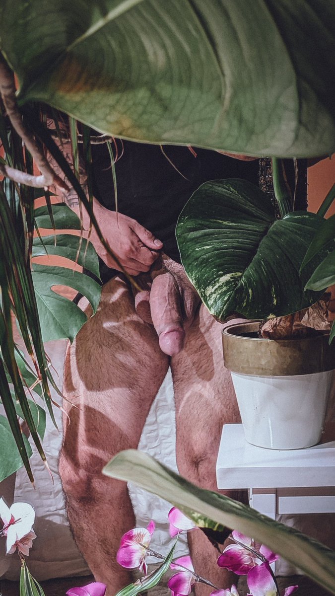 Giodude667's tweet photo. Friday night plant pics. https://t.co/tKuuI231JL