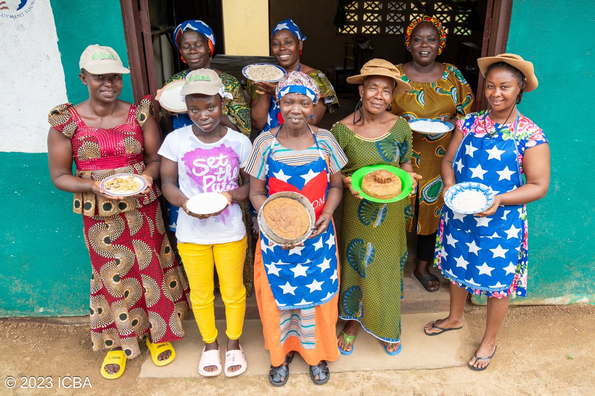 ICBAAgriculture's tweet photo. Meet the women farmers of the Rise and Shine Multipurpose Cooperative in Grand Bassa County, Liberia, beneficiaries of Improving Agricultural Resilience to Salinity through Development and Promotion of Pro-Poor Technologies (RESADE) https://t.co/EtXAviRzs5