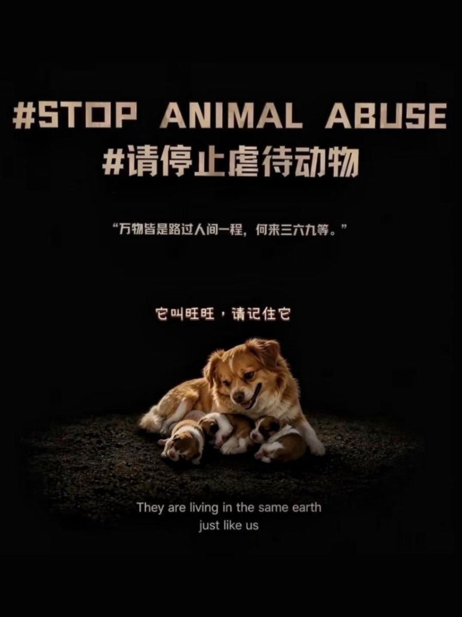 BridgetZZL's tweet photo. 旺旺顶着它的妙脆角再也没有回到它的下水道。
它没有吃过甜甜的西瓜
它没有吃过香香的蛋黄
它没有了，它是以最痛最疼的方式走了！
  
广东揭阳虐狗案，我们在发声！ https://t.co/jJ0O9GN5m9