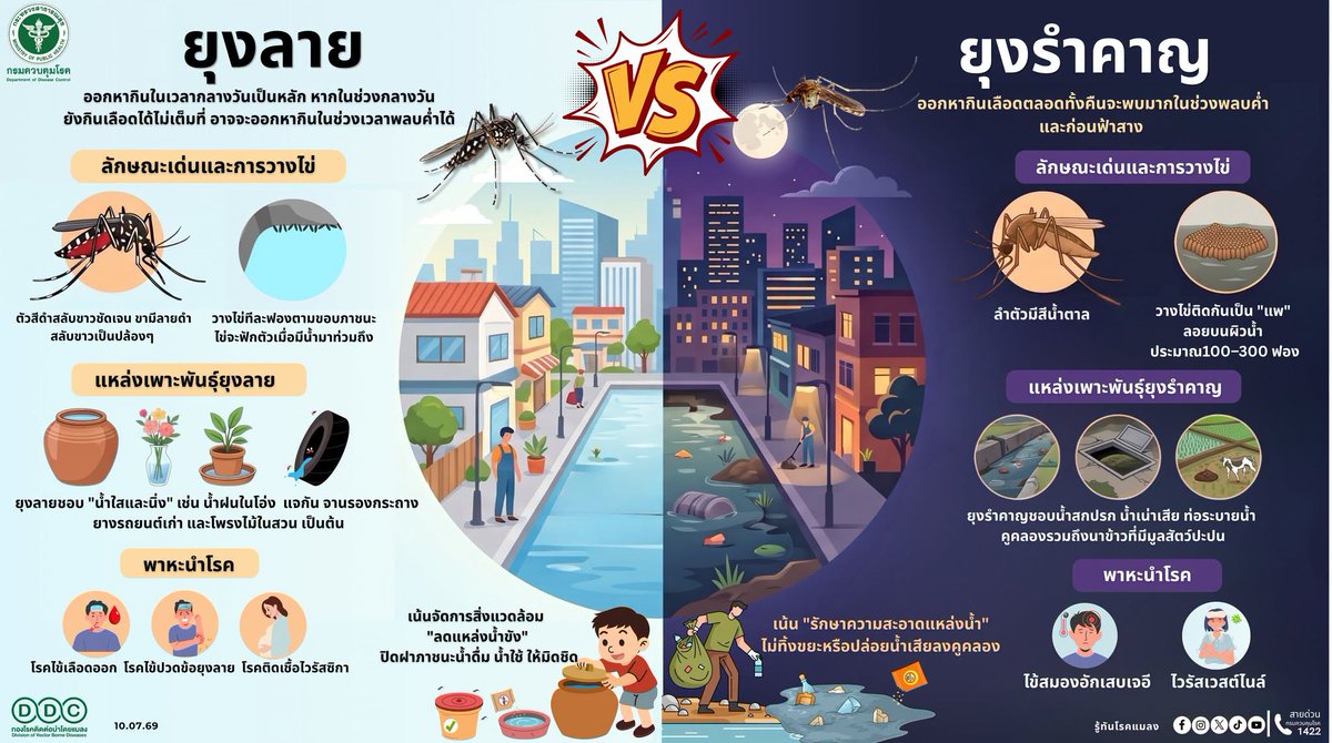 ddc_riskcom's tweet photo. 🦟 "ยุง" เหมือนกัน... แต่ร้ายคนละแบบ! ชวนมาส่องความต่างระหว่าง "ยุงลาย VS ยุงรำคาญ"
แยกให้ออก จะได้ป้องกันถูกวิธี!
#ยุงลาย #ยุงรำคาญ #รู้ทันโรคแมลง 
#ไข้เลือดออก #กรมควบคุมโรค https://t.co/HEHUCW9bar