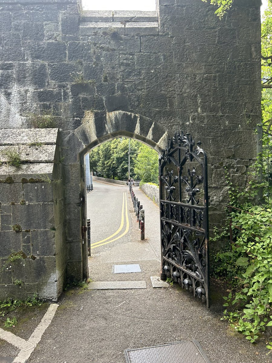 DeasyPamela's tweet photo. #Day190 of #200daysofwalking
Back on campus, working on my dissertation ๐
#July2026 #SummerinIreland https://t.co/84zOn85WpN
