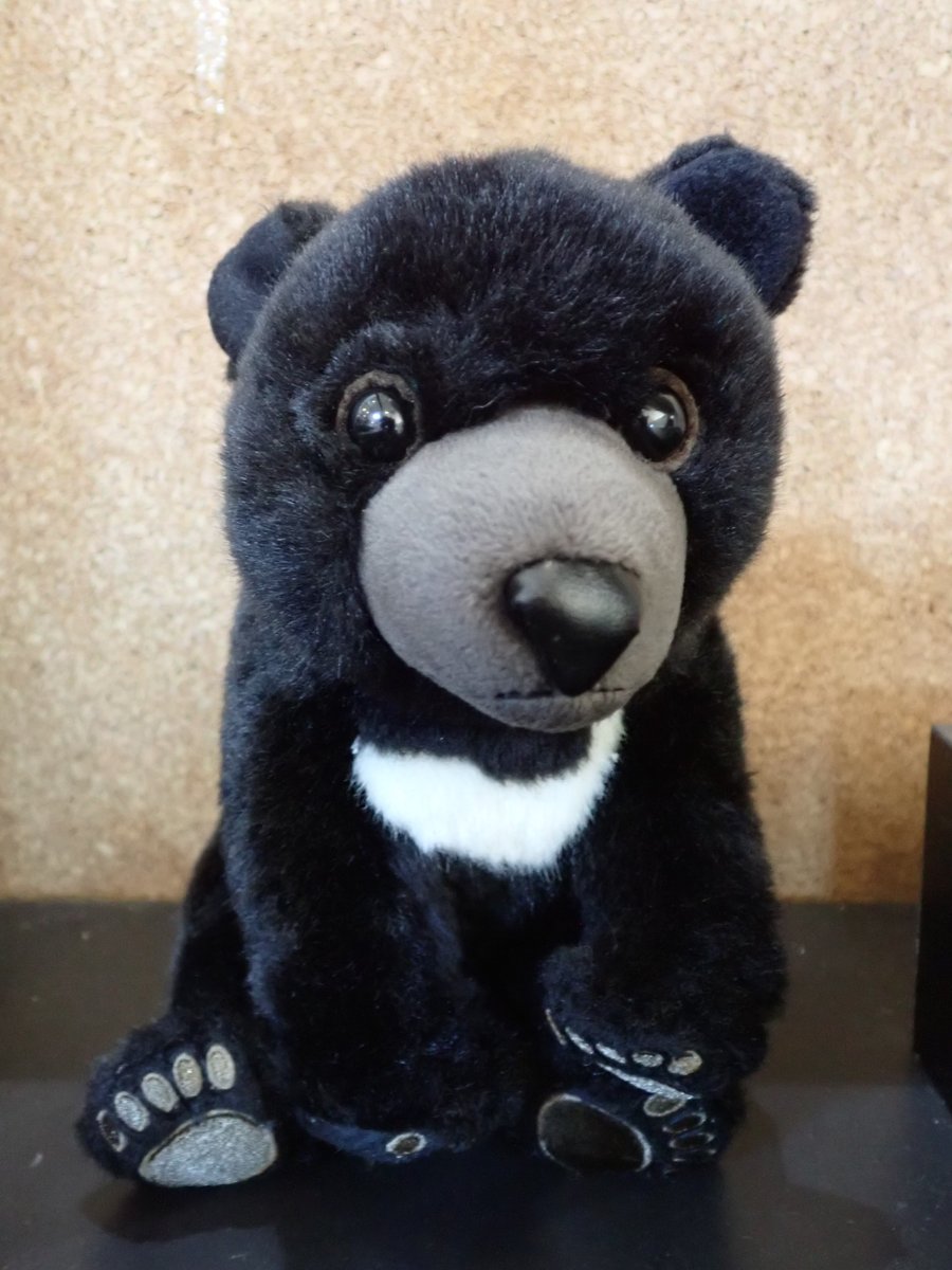 shizen_nei's tweet photo. 【クマ君のつぶやき】
下の3つの投稿は、城山中学校14歳の挑戦の作品だよ♪ https://t.co/YtD2xXy8VV