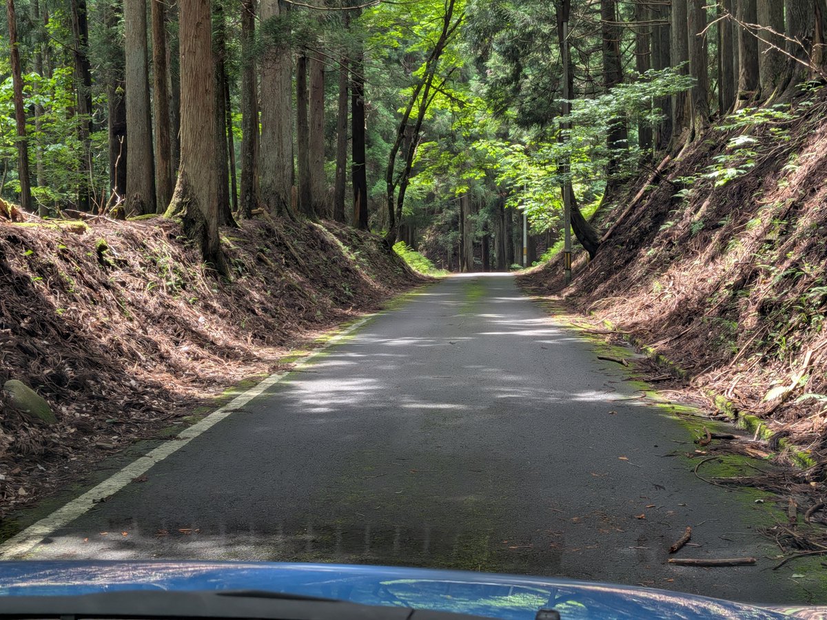 seiwa_se_wing's tweet photo. 【根尾　国道157号復旧現場2】

水曜日、国道157号の復旧工事現場に、
再び取材に行ってきました。

ゲートをくぐり、登ること30分。
今回もタイヤをパンクさせることなく、
無事に現着できました。

道路は埋めたのですが、写真の通り、
崩れた石垣を作っていました。

写真を見ると分かるのですが、
崩れていないほうの石垣と同じように、
一つ一つ人力で石を積み、セメントで
固める、という作業をしていました。

この作業、今日あたりまで掛かるとのこと。
バックホウで重い石とセメントは下ろせますが、
そこからの積み上げは手作業。

コツコツと修繕しています。

山の上なので涼しいと思いきや、前日に雨が降り、
意外に蒸し暑かったです。

この道路を作ったときも、こうして石を積んで、
開拓をしていったのかな…？と想像しながら、
作業を見させてもらいました。

相変わらず通行止めは続いていますが、
必ず道は開けます。
もうしばらくお待ちください🙏

#建設業を盛り上げよう
#災害復旧
#国道157号
#岐阜県本巣市根尾
#手作業での復旧