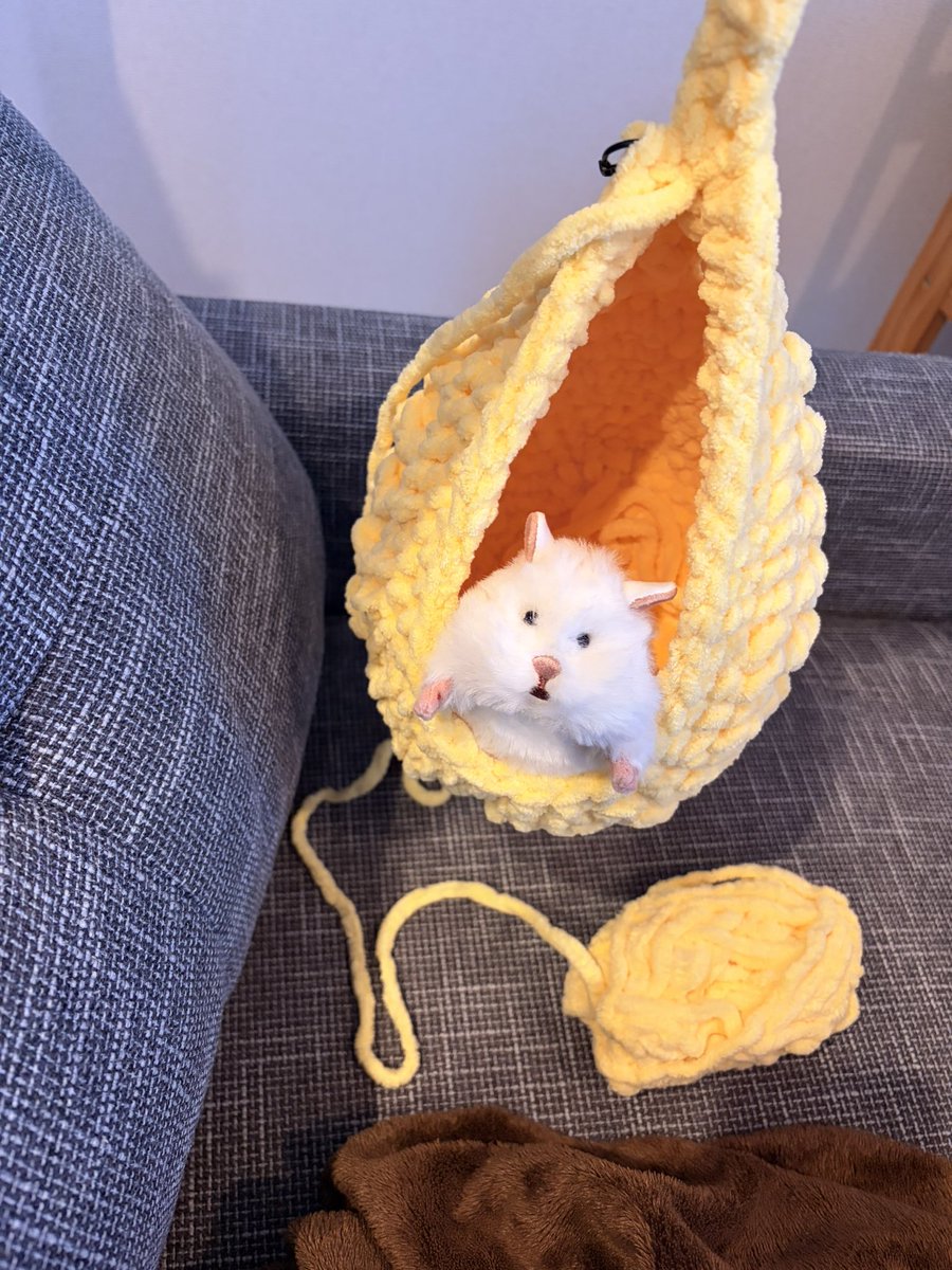 Kimuchimutti's tweet photo. ちょっと大きすぎるよね😂
小さく編み直そうね https://t.co/I8NxS8Sq7S