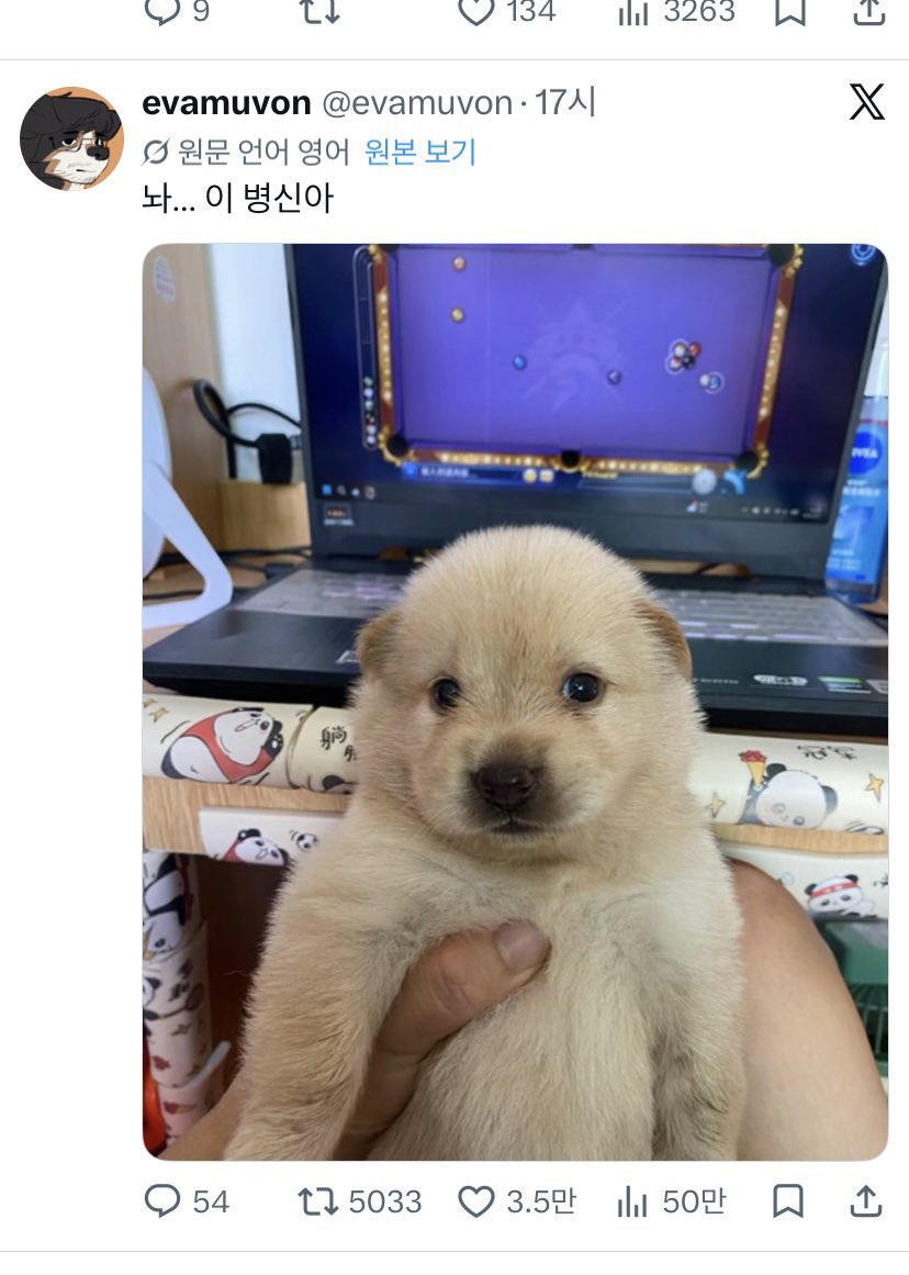 wwwXDw's tweet photo. 구독팔 정리함🤪✌️ https://t.co/Pl2XUJAeQx