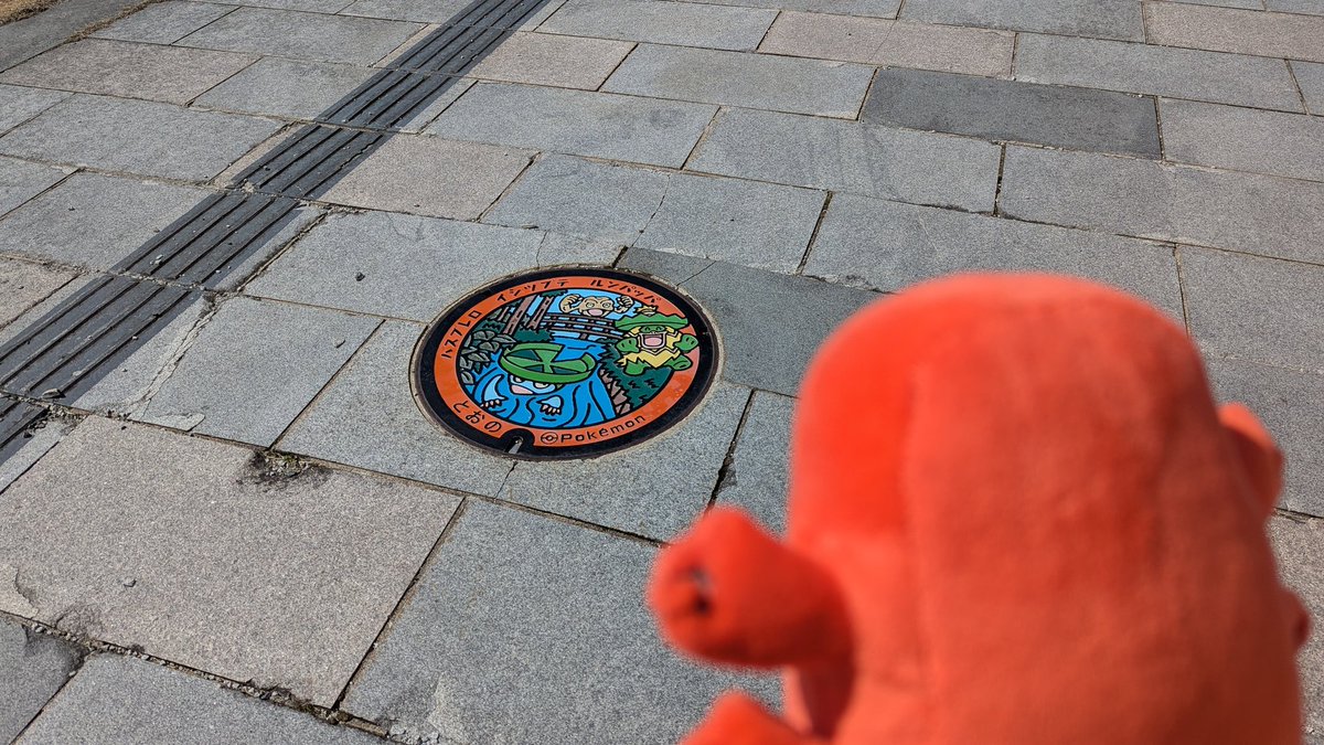 ikaimon_team's tweet photo. 遠野にもポケふた https://t.co/wiwmjej6o7