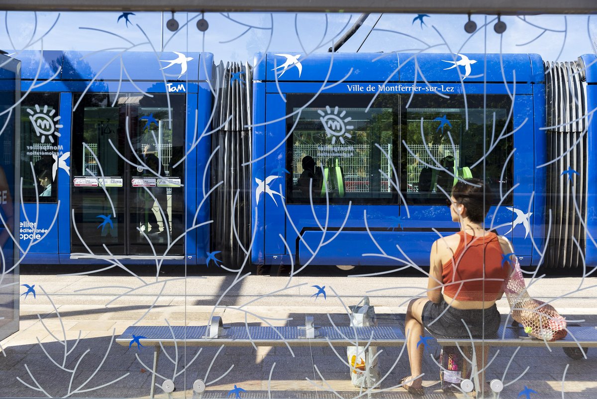 TaMVoyages's tweet photo. ☀️Bonne journée sur le réseau TaM !

Que vous soyez en route vers votre destination, au travail, en visite ou simplement en balade dans la métropole, nous sommes heureux de vous accompagner tout au long de votre trajet.

🚋🚍 Belle journée à toutes et à tous ! https://t.co/LHgSfUe0NN