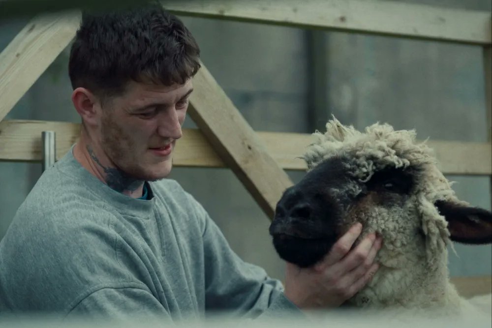 IFTN's tweet photo. Ahead of the film's Irish premiere at the Galway Film Fleadh this Saturday, McClean spoke to IFTN about making his debut feature, bringing ‘Magilligan’ to Irish audiences, and being recognised with a Bingham Ray New Talent Award nomination.

Read more: https://t.co/Lv44Ln7jQc https://t.co/mRTCSNmdkG