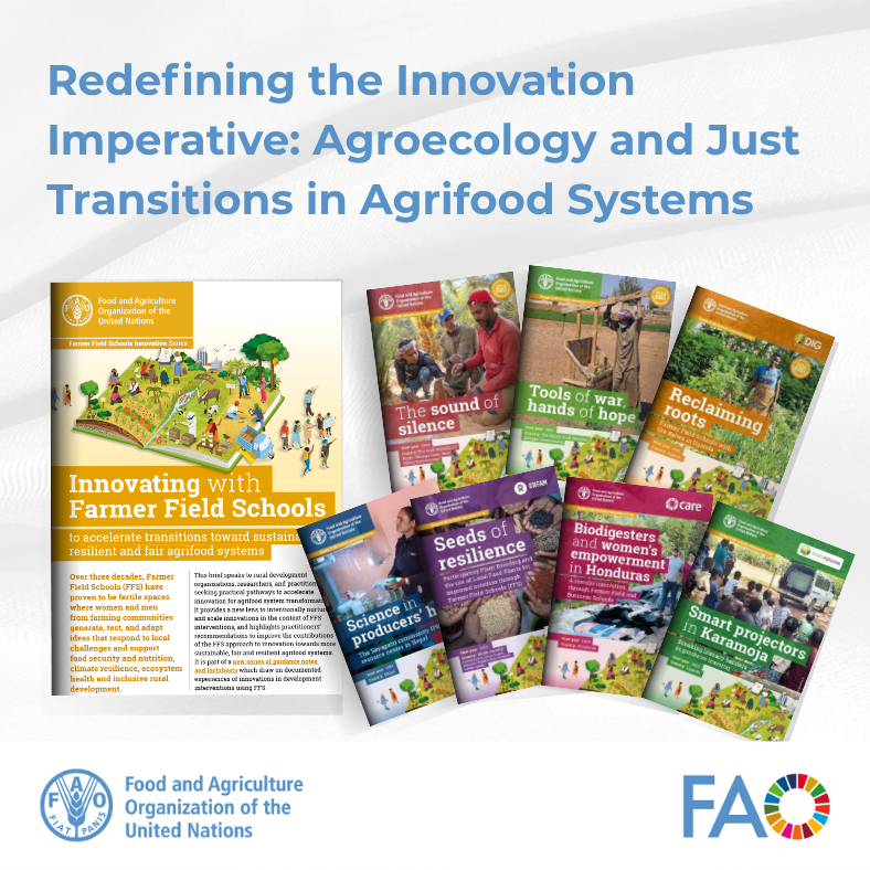FAOInnovation's tweet photo. How do we achieve a truly just transition in our food systems? 🌱

Innovation in agriculture isn’t just about introducing new technologies, it is about ensuring they are co-created with farmers to support a just &amp; inclusive transition.

Read more ➡️ https://t.co/w5TDz8tioj

#FFS https://t.co/XzEmcfzsc1
