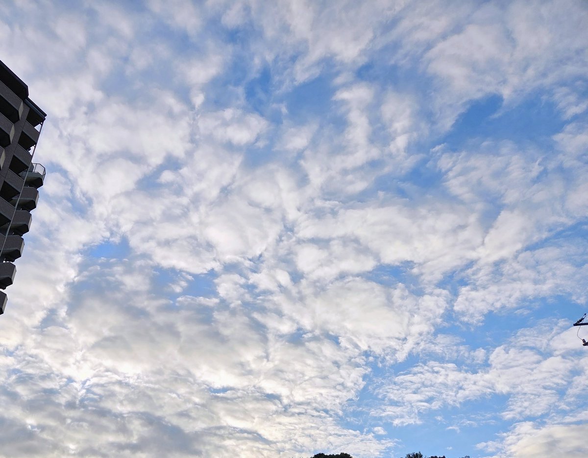 Welfare4399's tweet photo. 帰りの空☁️🫧
綺麗だなと思って撮ってみた
けど 今日も暑かった~~~( *¯ㅿ¯*)💦 

お疲れさまでした🍻😊 https://t.co/EiZ5JyvNto