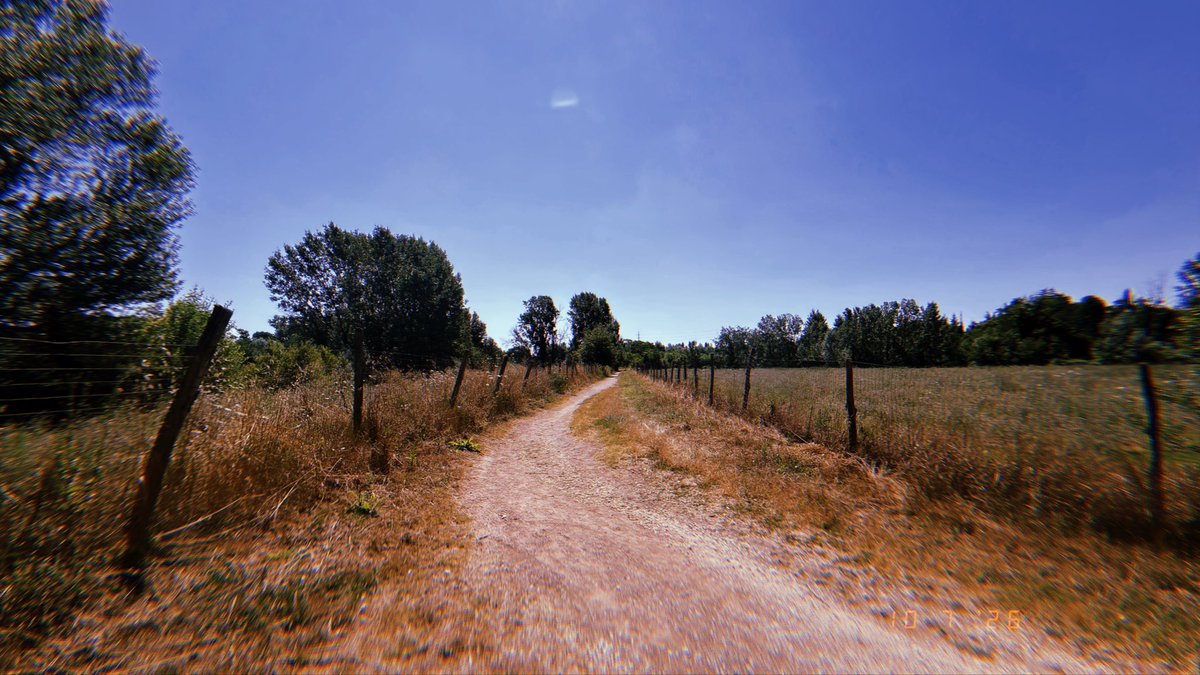 froginagrave's tweet photo. ***
Summer Cinema 14
Trail running, chickens clucking, beez a’buzzin’
32*
.
.
.
.
.
.
#running #trailrunning #fitinyour50s #hokaone #hoka https://t.co/CHy1hJRuNS
