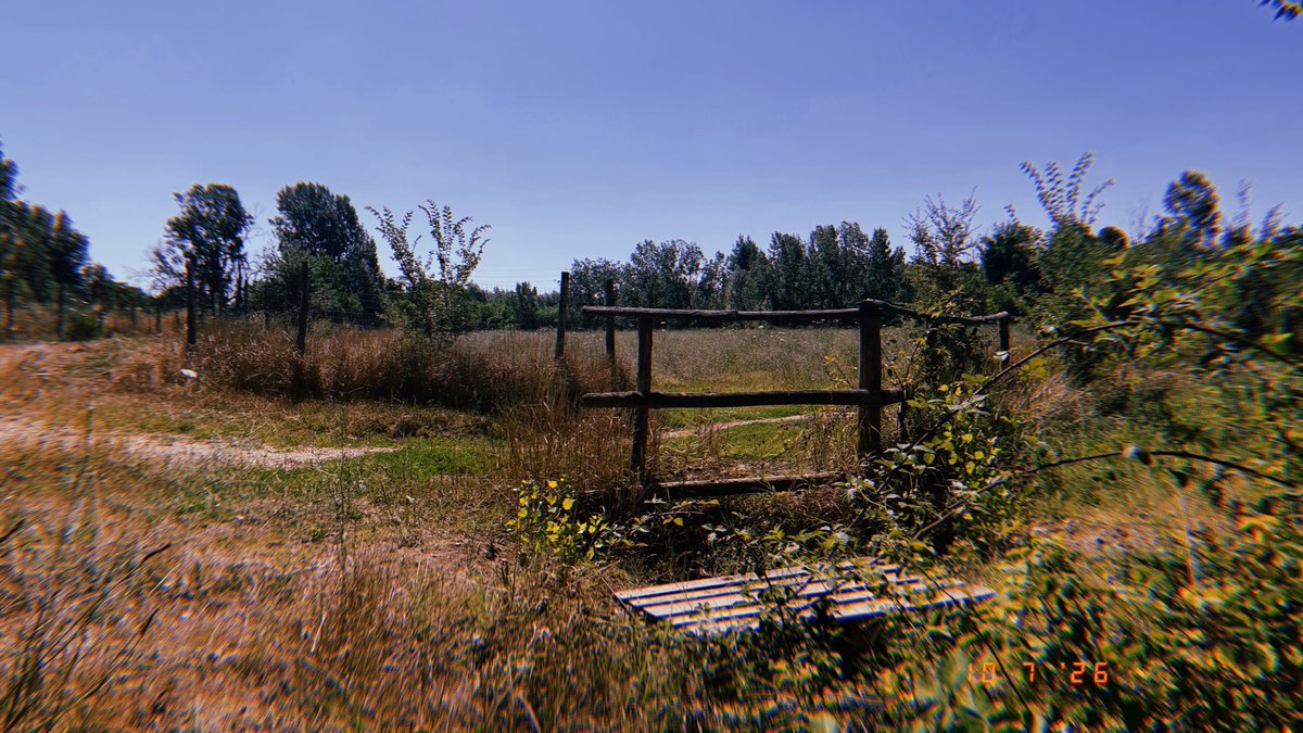 froginagrave's tweet photo. ***
Summer Cinema 14
Trail running, chickens clucking, beez a’buzzin’
32*
.
.
.
.
.
.
#running #trailrunning #fitinyour50s #hokaone #hoka https://t.co/CHy1hJRuNS