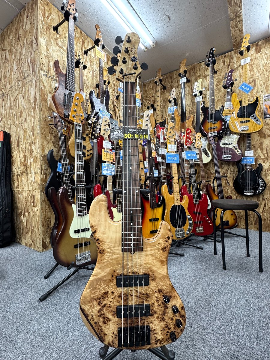 AV BASSES / AVJ5m Burl Poplar ¥660,000 上質な木目が目を引くチェコ