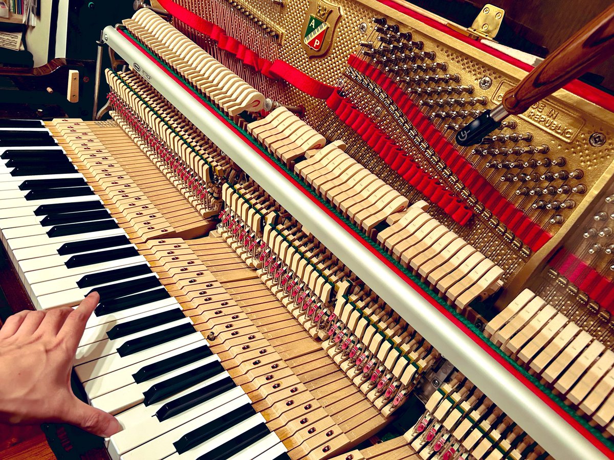 pianoprep2013's tweet photo. 本日は横浜市でペトロフ装飾猫脚UPのメンテナンス。20年以上経ちますが今もご愛奏♪
チェコの鬼才ヤナーチェクの作品に取り組むピアニスト様。昨年カノンハウス鎌倉で演奏された際は大変好評だったそう。次回は同会場でシューマンとブラームスを予定。またコンサート調律でも宜しくお願いいたします✨ https://t.co/PonhhotMSl
